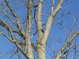 20760-Feb6th2005 027.webp