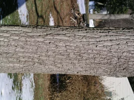 20762-Feb6th2005 028.webp