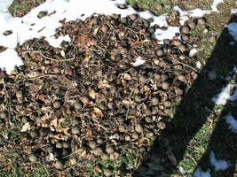 20763-Feb6th2005 029.webp