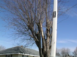 20797-March 5th 2005 001.webp