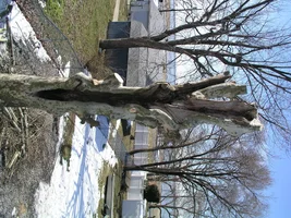 20805-March 5th 2005 014.webp