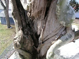 20807-March 5th 2005 017.webp