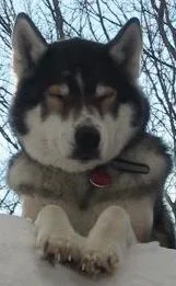 20880-Portrait 1.webp