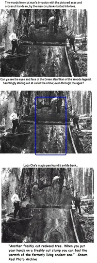 20903-Natural Green Man.webp