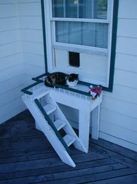 20912-catdoor.webp