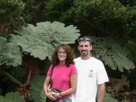 21519-Kim David leaf 50%.webp