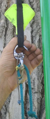 21565-Trigger-shackle open web.webp