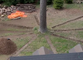 21893-IM000751 (2).webp