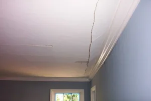 21941-treeo on house10.webp