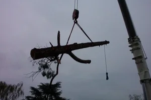 21943-200T crane2.webp