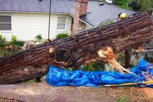 21944-200T crane4.webp