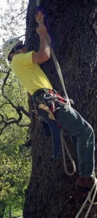 22248-Babberney TX TCC.webp