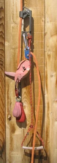 22469-RADS- web.webp