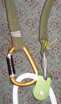 22662-False crotch New Tribe closeup arrows web.webp