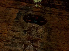 22700-Picture 161.webp