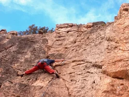 22748-Picture 046.webp