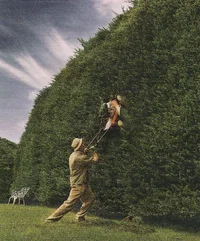 22975-Shearing with lawn mower web.webp