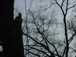 23057-Transfer line.webp