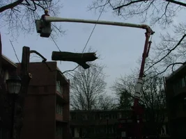 23060-Wood Lowering.webp