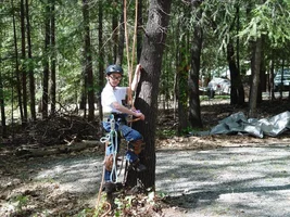 23098-heading up the tree.webp