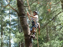 23099-limbing on the way up.webp