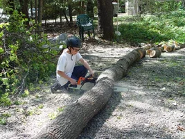 23103-Austin Bucking log.webp