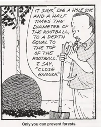 23226-Planting tree email.webp