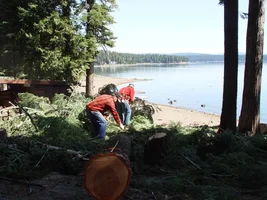 23329-scaling the logs.webp