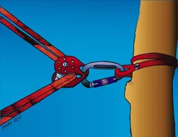 23345-redirect coloured.webp