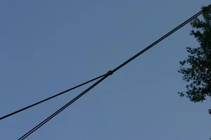 23386-IMG_4462 (2).webp