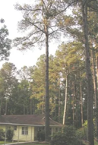 23609-todays job.webp