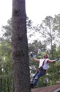 23611-asking permission.webp