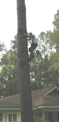 23612-don't gaff the rope.webp