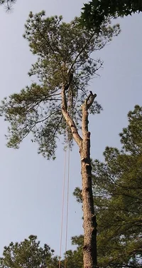 23615-more rigging.webp