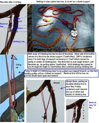 23971-pulley FS.webp