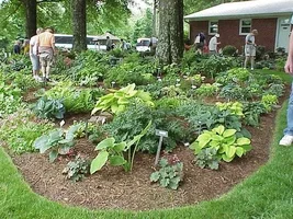 24142-Jones Garden5.webp