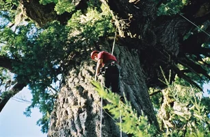 24181-000012-R1-052-24A. (Large).webp