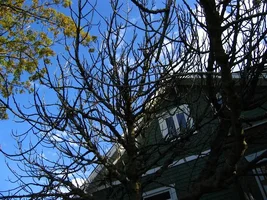 24198-IMG_8015 (Medium).webp