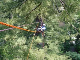 24442-Pierre Tardif traverse line.webp