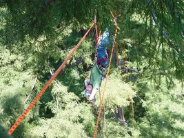 24444-traverse Line.webp