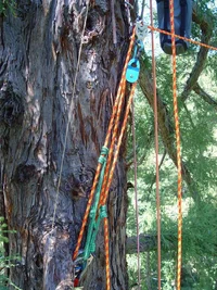 24445-lower traverse line set up.webp