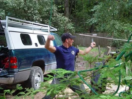 24447-Joey Cornell . Handcuffed.webp