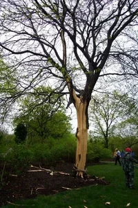 24610-lightning strike HL2.webp