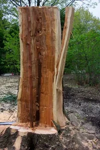 24613-lightning strike HL4.webp