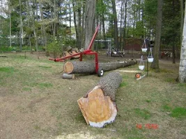 24923-TB Log Dolly1.webp