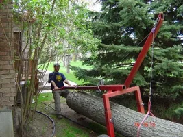 24925-TB Log Dolly3.webp