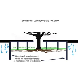 253107-TreeWellFinishedParkingcopySmall.webp