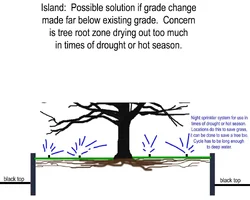 253108-TreeIslandFinishedcopySmall.webp