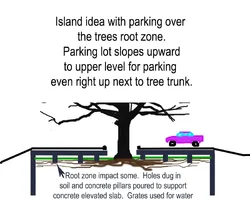253109-TreeIslandFinishedParkingcopySmall.webp
