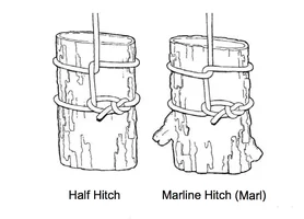 291761-HalfHitchvs.Marl.webp